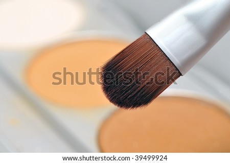 Makeup brush with powder palette