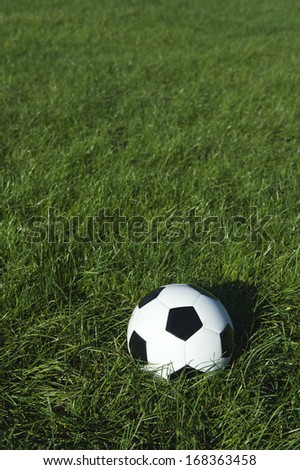 Classic black and white soccer ball football sits in a patch of sunny green grass