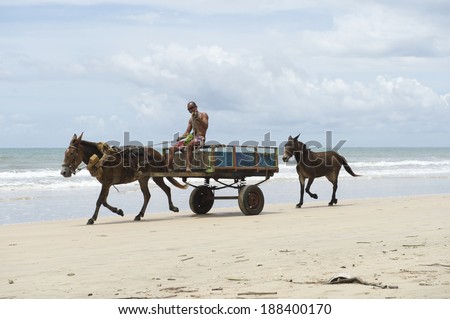 BAHIA, BRAZIL - MARCH 9, 2014: Traditional horse and driver cart traveling along a broad empty beach in a typical northeast Brazil scene.