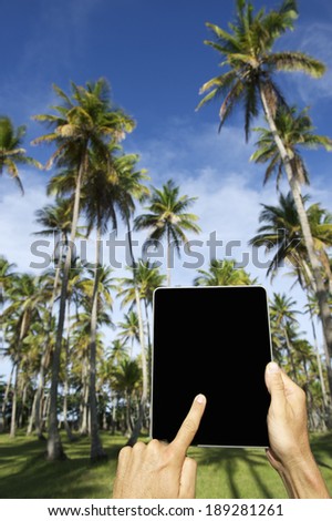 Traveling tourist using tablet computer in front of tropical palm tree plantation in Bahia Brazil
