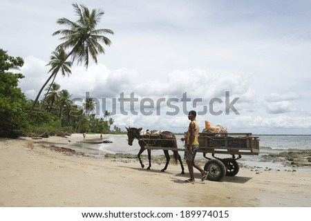 BAHIA, BRAZIL - MARCH 9, 2014: Traditional horse and driver cart traveling along rustic beach in a typical northeast Brazil scene.