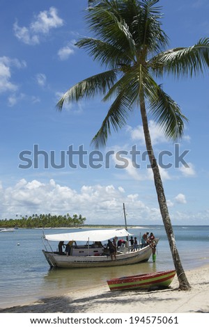 Brazilian boat getting ready to launch under a single palm tree on a remote coast in Bahia Nordeste Brazil