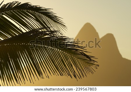 Sunset in Rio de Janeiro Ipanema Beach Brazil with Two Brothers Dois Irmaos Mountain and palm tree silhouette