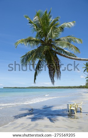Table and chairs sit in the waves under the shadow of a palm tree on the shore of empty Brazilian beach in Bahia Nordeste Brazil