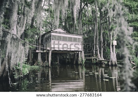 Swamp bayou scene of the American South featuring old wooden shack built into bald cypress trees and Spanish moss in Caddo Lake Texas