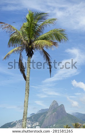 Rio de Janeiro Brazil with single palm tree in front of Two Brothers Mountain