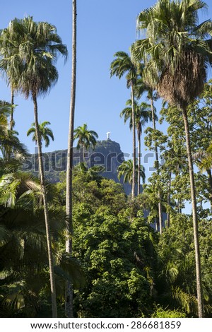 Corcovado Mountain stands in the distance beyond royal palm trees at the Jardim Botanico botanic gardens in Rio de Janeiro Brazil