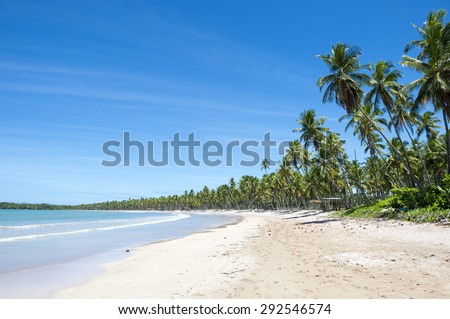 Palm trees on wide remote tropical Brazilian island beach in Bahia Brazil