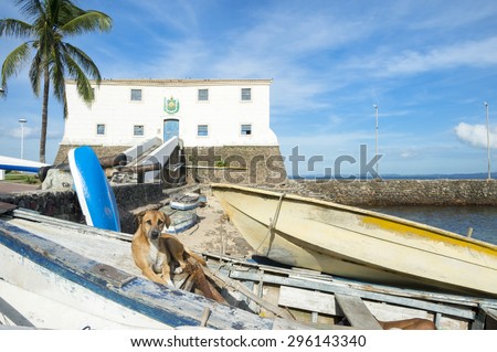 Brazilian stray dog lies in the sun on a pile of traditional colorful fishing boats at Porto da Barra Beach in Salvador, Bahia, Brazil