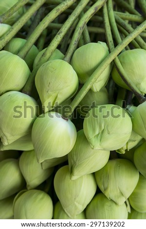 Stack of fresh unopened green lotus buds waits for worshippers at the entrance to a Buddhist temple in Bangkok, Thailand