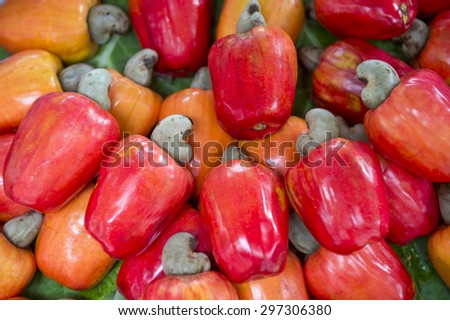 Brazilian caju cashew fruit harvest colorful red display on green leaves