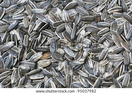 The closeup of sunflower seeds which have good nutrition