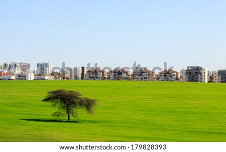 Beer Sheva suburb behind a green field and tree under sky, Israel