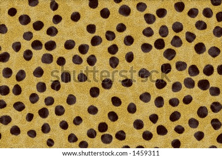 cheetah print background. stock photo : cheetah print