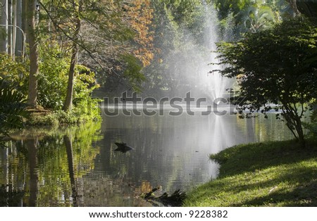 Fountain in lake in Florida - landscape orientation