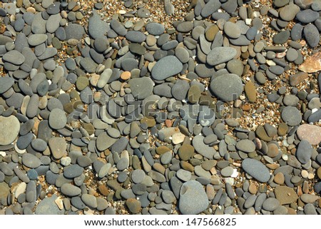 Fragment of pebble beach with flat colored pebbles, small stones and shells detail close-up in bright sunlight