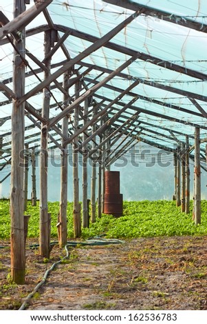 Wooden rural film greenhouses with the stove to heat after harvest in autumn time