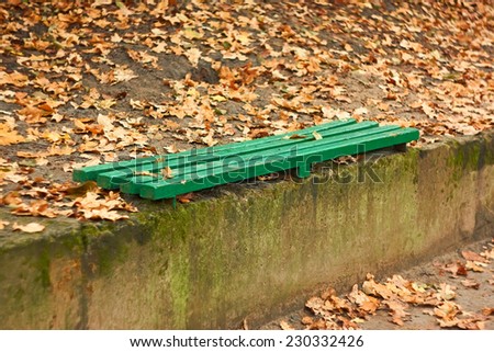 Simple green wooden bench on a concrete border among autumn leaves