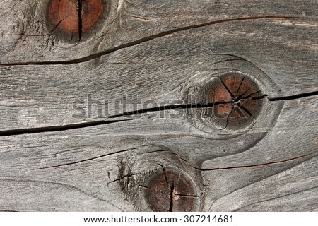 Detail of old wooden board with annual rings, cracked and faded surface, close up
