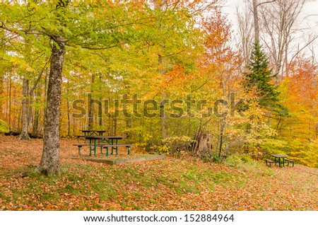Picnic Area in a Forest in Autumn