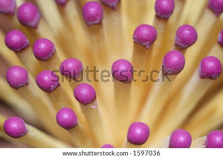 Pink flower from matches