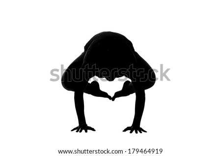 Silhouette of beautiful young woman in great shape practicing yoga