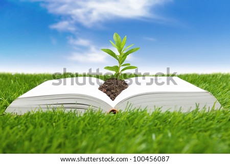 Seedlings growing from book in knowledge concept