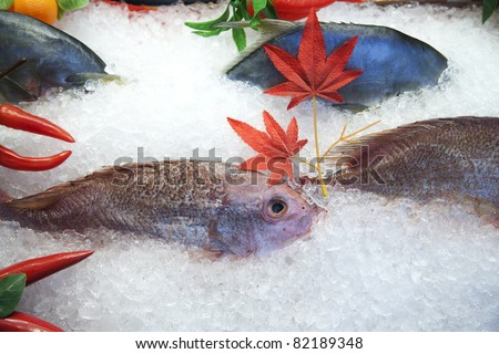 Fresh frozen fish display in seafood restaurant