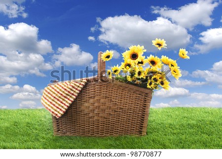 Picnic basket with woven and sunflowers, shot on the green grass  at in spring or summer