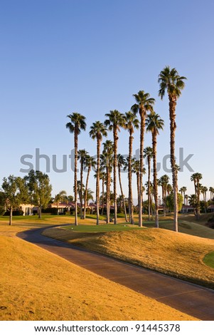 Golf Course In Palm Springs