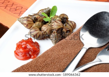 snails be alive on white plate with tomato sauce, fake food