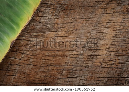 vintage background, dry banana leaf on old wood