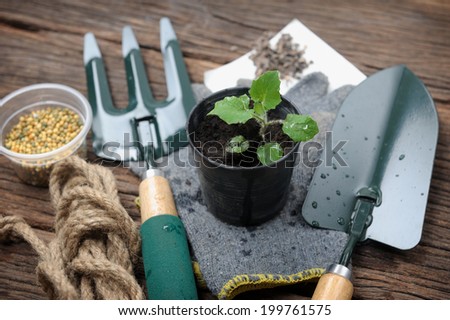 gardening tools on black soil