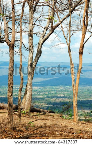 landscape of abstract wither tree with mountain in cloudy day
