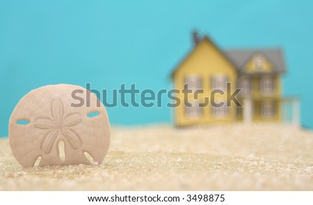 Sand Dollar and Beach House With Blue Background