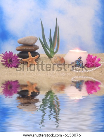 Candle and Aloe Plant on Sand With Water Reflection