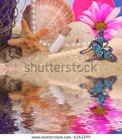 Sea Shells With Flower and Jewelry on Sand With Water Reflection