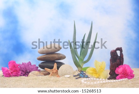 Aloe Vera and Buddha on Sand With Blue Background
