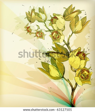 eps10 floral  background with a blossoming orchid