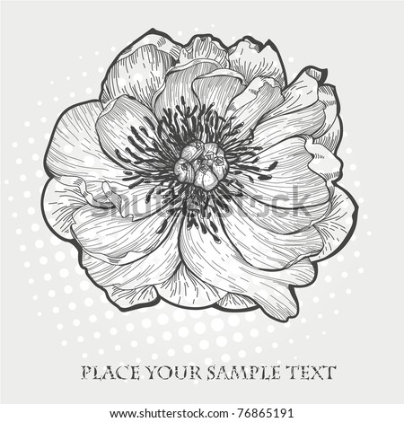 Vector Hand Drawn Illustration Of A Single Peony - 76865191 : Shutterstock