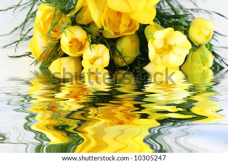 spring yellow flowers bouquet with green leafs reflection in water