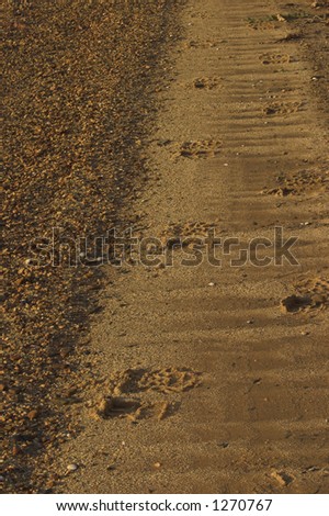 Boot Tracks