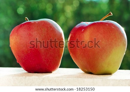close up of two apples on the white wall