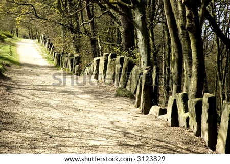 unusual stone wall by woodland path