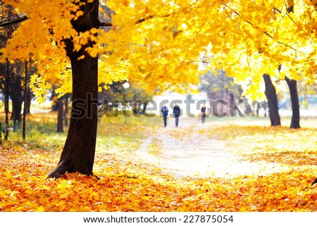people walking in the autumn park with yellow leaves