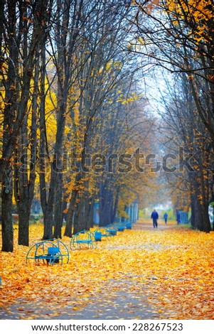 people walking in the autumn park with fallen leaves