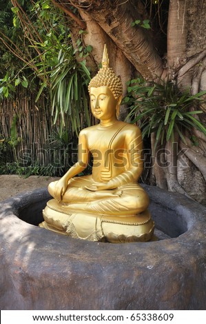 Meditation Buddha statue. Under the Bodhi tree. Location Chiang Mai, Thailand.