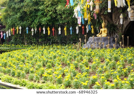 Area Meditation Buddha statue in garden Under the Bodhi tree. Location Chiang Mai, Thailand.