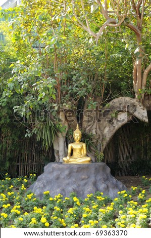 Meditation Buddha statue in garden Under the Bodhi tree.  Location Chiang Mai, Thailand.