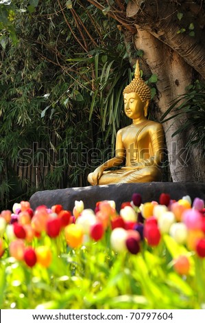 Meditation Buddha statue in tulips garden Under the Bodhi tree.  Location Chiang Mai, Thailand.